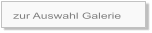 zur Auswahl Galerie