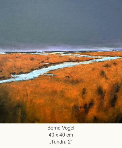Bernd Vogel40 x 40 cm„Tundra 2“