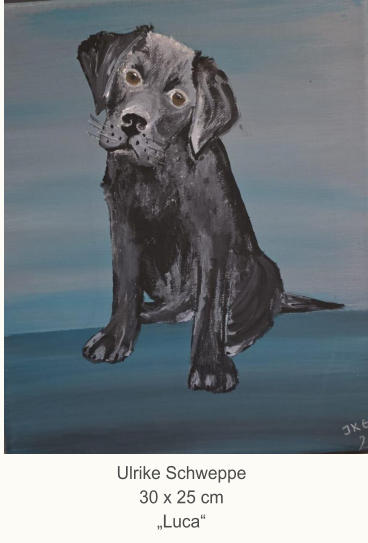 Ulrike Schweppe30 x 25 cm„Luca“